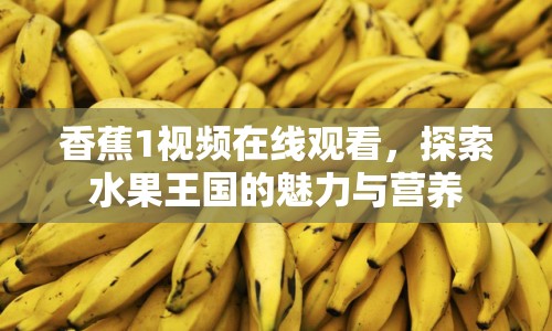 香蕉1視頻在線觀看，探索水果王國(guó)的魅力與營(yíng)養(yǎng)