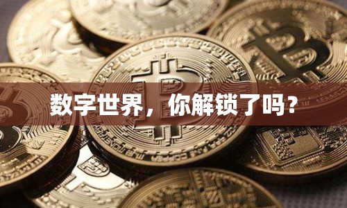 數(shù)字世界，你解鎖了嗎？