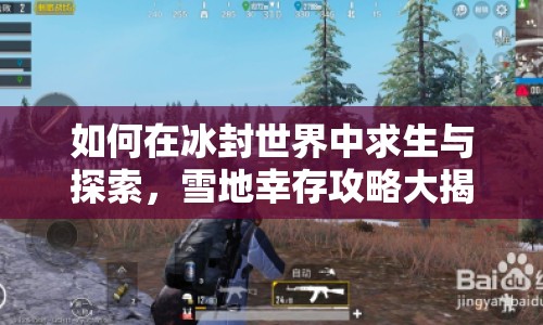 如何在冰封世界中求生與探索，雪地幸存攻略大揭秘？