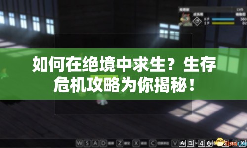 如何在絕境中求生？生存危機(jī)攻略為你揭秘！