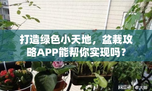 打造綠色小天地，盆栽攻略APP能幫你實(shí)現(xiàn)嗎？