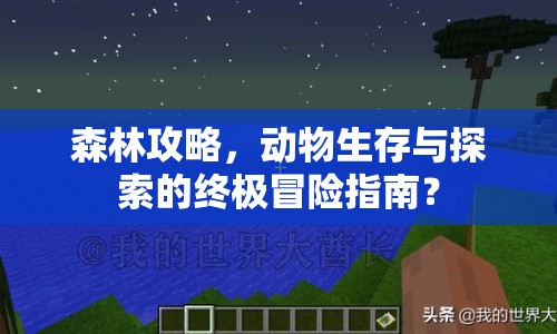 森林攻略，動(dòng)物生存與探索的終極冒險(xiǎn)指南？