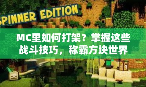 MC里如何打架？掌握這些戰(zhàn)斗技巧，稱(chēng)霸方塊世界不是夢(mèng)！