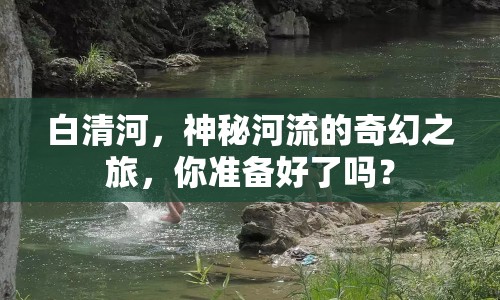 白清河，神秘河流的奇幻之旅，你準(zhǔn)備好了嗎？
