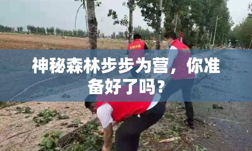 神秘森林步步為營，你準備好了嗎？