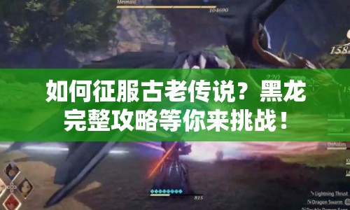 如何征服古老傳說？黑龍完整攻略等你來挑戰(zhàn)！