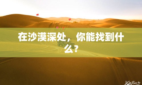 在沙漠深處，你能找到什么？