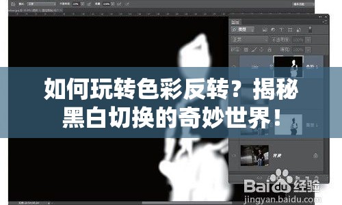 如何玩轉(zhuǎn)色彩反轉(zhuǎn)？揭秘黑白切換的奇妙世界！
