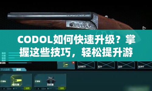 CODOL如何快速升級？掌握這些技巧，輕松提升游戲等級與技能！