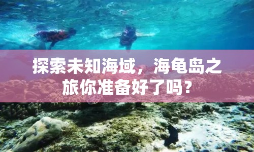探索未知海域，海龜島之旅你準備好了嗎？
