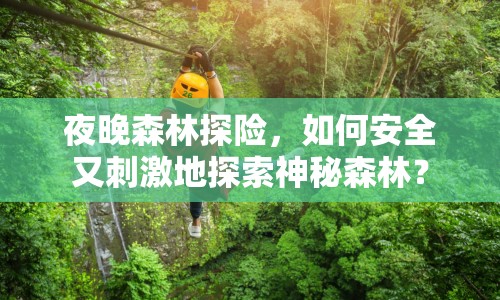 夜晚森林探險(xiǎn)，如何安全又刺激地探索神秘森林？