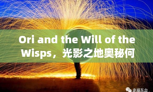 Ori and the Will of the Wisps，光影之地奧秘何在？