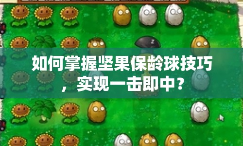 如何掌握堅果保齡球技巧，實現(xiàn)一擊即中？