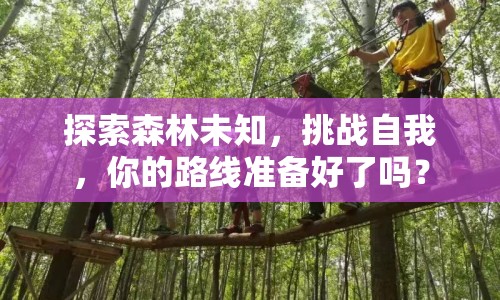 探索森林未知，挑戰(zhàn)自我，你的路線準備好了嗎？