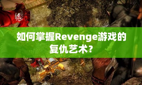 如何掌握Revenge游戲的復(fù)仇藝術(shù)？