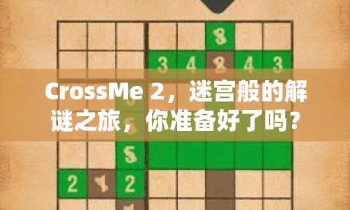 CrossMe 2，迷宮般的解謎之旅，你準備好了嗎？