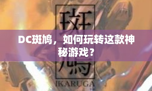 DC斑鳩，如何玩轉(zhuǎn)這款神秘游戲？