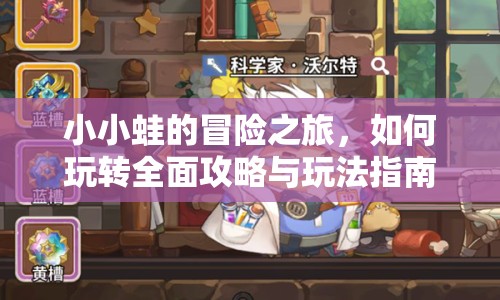 小小蛙的冒險(xiǎn)之旅，如何玩轉(zhuǎn)全面攻略與玩法指南？