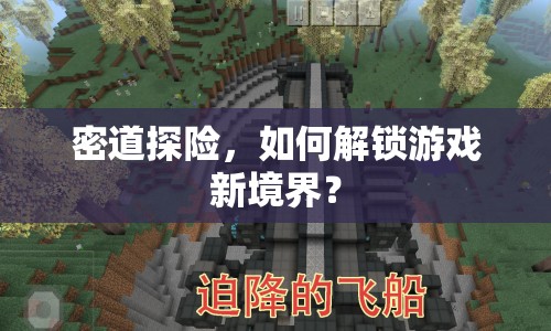 密道探險，如何解鎖游戲新境界？