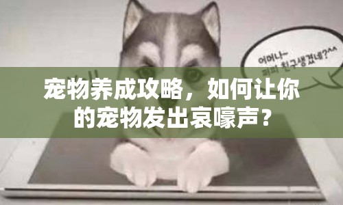 寵物養(yǎng)成攻略，如何讓你的寵物發(fā)出哀嚎聲？