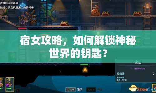 宿女攻略，如何解鎖神秘世界的鑰匙？