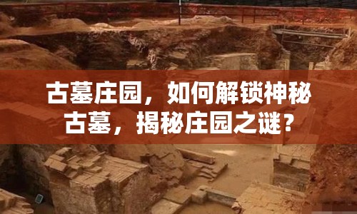古墓莊園，如何解鎖神秘古墓，揭秘莊園之謎？