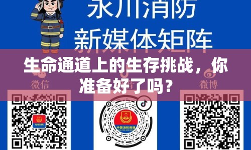 生命通道上的生存挑戰(zhàn)，你準(zhǔn)備好了嗎？