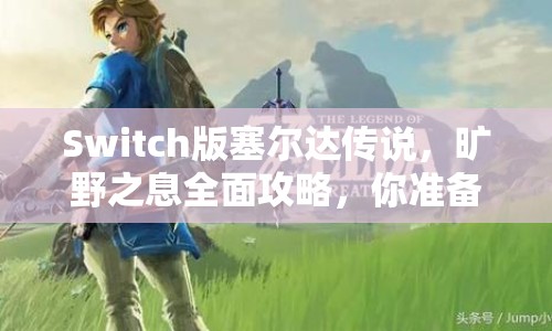 Switch版塞爾達(dá)傳說，曠野之息全面攻略，你準(zhǔn)備好了嗎？