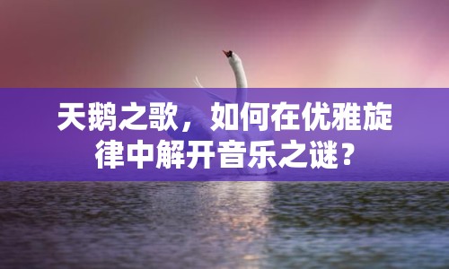 天鵝之歌，如何在優(yōu)雅旋律中解開音樂之謎？