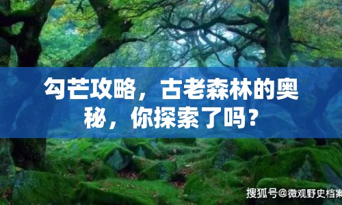勾芒攻略，古老森林的奧秘，你探索了嗎？