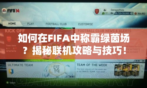 如何在FIFA中稱霸綠茵場？揭秘聯(lián)機(jī)攻略與技巧！