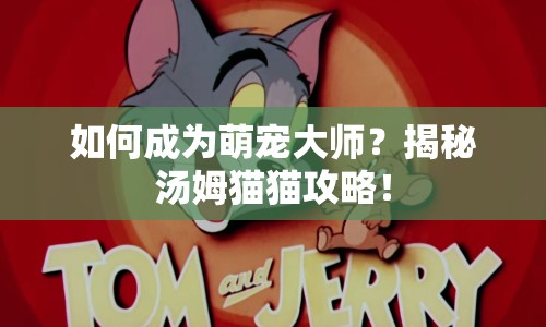 如何成為萌寵大師？揭秘湯姆貓貓攻略！