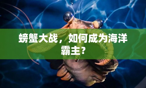 螃蟹大戰(zhàn)，如何成為海洋霸主？