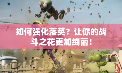 如何強(qiáng)化落英？讓你的戰(zhàn)斗之花更加絢麗！