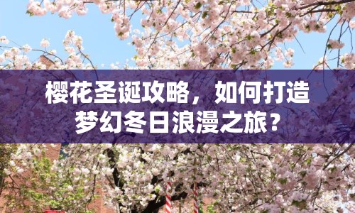 櫻花圣誕攻略，如何打造夢(mèng)幻冬日浪漫之旅？