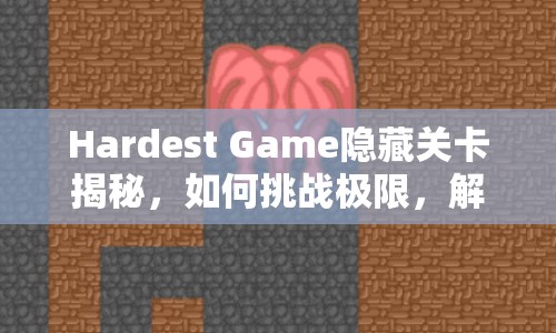 Hardest Game隱藏關(guān)卡揭秘，如何挑戰(zhàn)極限，解鎖難關(guān)？