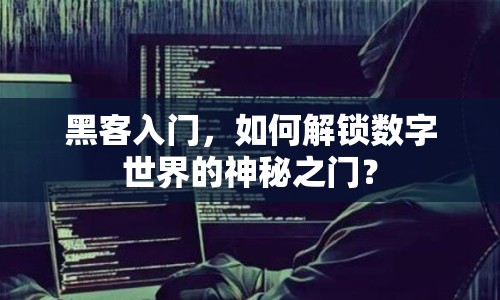 黑客入門(mén)，如何解鎖數(shù)字世界的神秘之門(mén)？