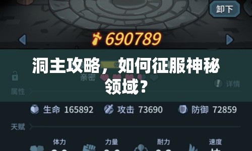洞主攻略，如何征服神秘領(lǐng)域？