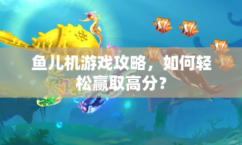 魚兒機游戲攻略，如何輕松贏取高分？