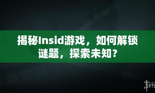 揭秘Insid游戲，如何解鎖謎題，探索未知？