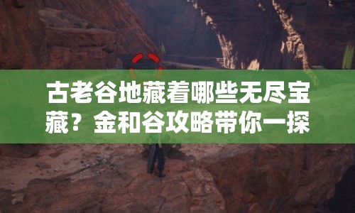 古老谷地藏著哪些無盡寶藏？金和谷攻略帶你一探究竟！
