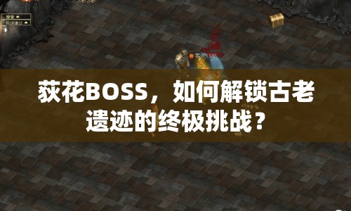 荻花BOSS，如何解鎖古老遺跡的終極挑戰(zhàn)？