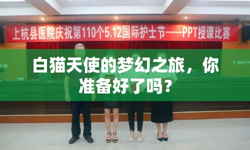 白貓?zhí)焓沟膲?mèng)幻之旅，你準(zhǔn)備好了嗎？