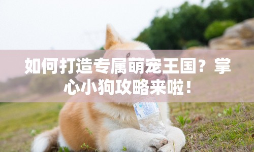 如何打造專屬萌寵王國(guó)？掌心小狗攻略來啦！