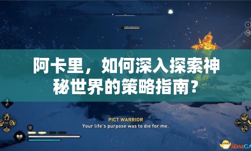 阿卡里，如何深入探索神秘世界的策略指南？