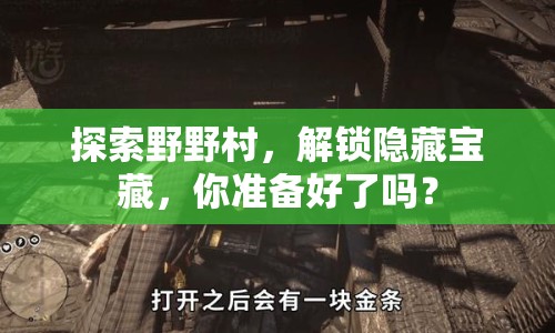 探索野野村，解鎖隱藏寶藏，你準(zhǔn)備好了嗎？