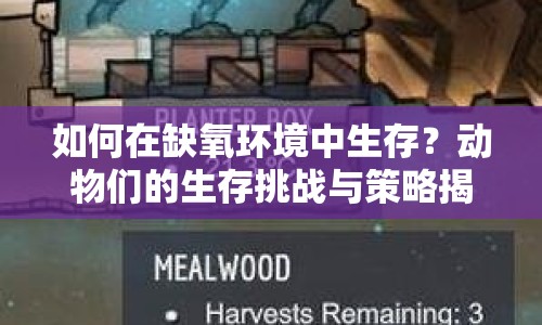 如何在缺氧環(huán)境中生存？動(dòng)物們的生存挑戰(zhàn)與策略揭秘！