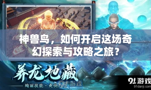 神獸鳥，如何開啟這場(chǎng)奇幻探索與攻略之旅？