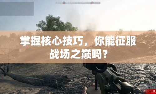 掌握核心技巧，你能征服戰(zhàn)場(chǎng)之巔嗎？