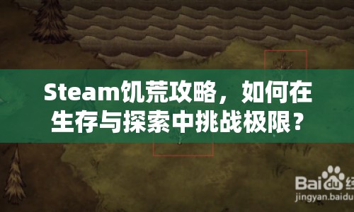 Steam饑荒攻略，如何在生存與探索中挑戰(zhàn)極限？